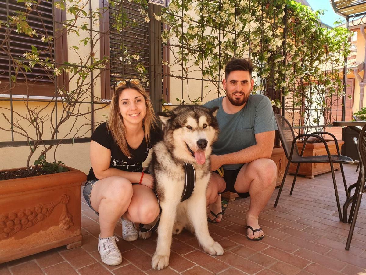 "La Terrazza Di Castiglione" Appartamenti Vacanza Castiglione della Pescaia Luaran gambar