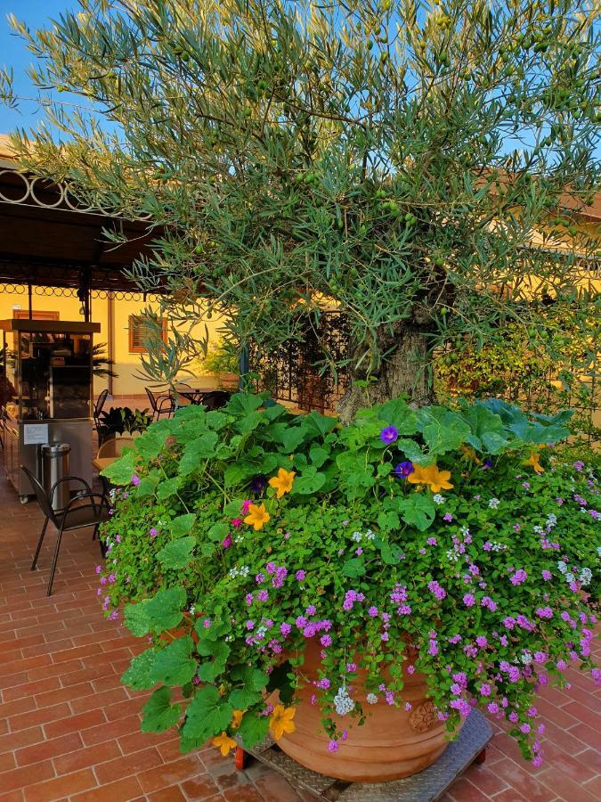 "La Terrazza Di Castiglione" Appartamenti Vacanza Castiglione della Pescaia Luaran gambar